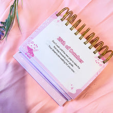 Load image into Gallery viewer, 2025 Planner and Desk Calendar Bundle