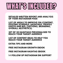 Load image into Gallery viewer, Instagram Audit
